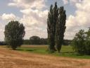 toscana_bei_groslangheim.JPG