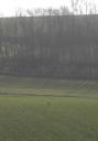 080328_kranich_oder_so.JPG