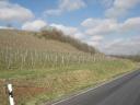 080328_segnitzer-pffenberg.JPG