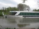 080430_all_green_6.JPG