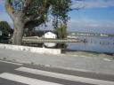 080515_ovar14.JPG