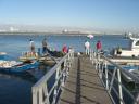 080515_ovar17.JPG