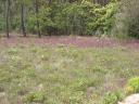 080516_de-foz5.JPG