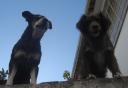 080517_obidos4.JPG