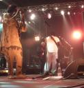 080523_habib_koite91.JPG