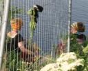 080525_sonntag24.JPG