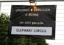 080614_elephant-circus6.JPG