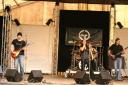 080614_elusive_grey8.JPG