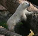 080702_flocke-184.JPG