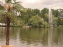 080705_kitzingen_im-_sommer.JPG