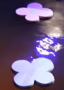 080730_beady-belle-0703_800.JPG