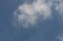 080827_genmaisballons-206.JPG