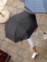 080926_venice_in_the_rain26.JPG
