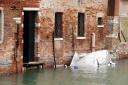 080926_venice_in_the_rain30.JPG