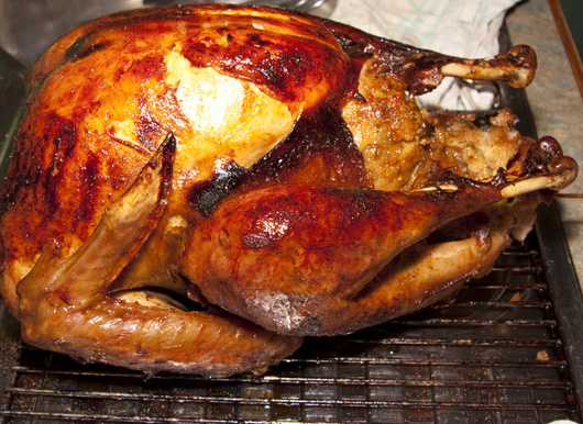 turkey-klein