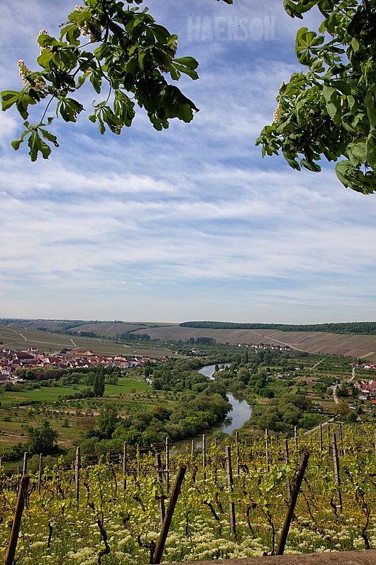 mit-uwe-durch-mainfranken.jpg-6