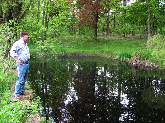 prinzessinnen-weiher